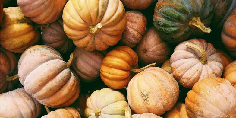 Paganism:  Mabon – Autumn Equinox